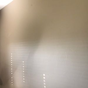 Meet your Posher, Peyton